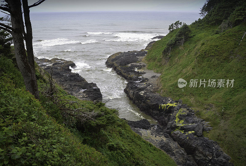 太平洋和俄勒冈海岸/海滩-沙子，冲浪，和茂密的森林